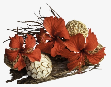 Flores, Driftwood, Arreglo Floral, Flores De Hibisco - Centrepiece, HD Png Download, Transparent PNG
