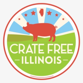 Volunteer Crate Free Illinois - Domestic Pig, HD Png Download, Transparent PNG