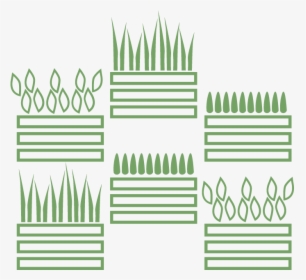 Moss Wall, Living Wall, Live Wall, Green Wall, Plant - Picket Fence, HD Png Download, Transparent PNG