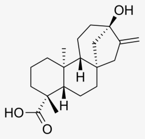Kaurenoic Acid, HD Png Download, Transparent PNG