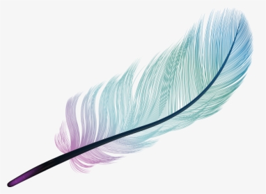 Feather Light Blue Color - Color Transparent Background Gradient, HD Png Download, Transparent PNG
