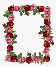 Flowers,floral Design,picture Frame,garden Roses,interior - Rose Clip Art Borders, HD Png Download, Transparent PNG