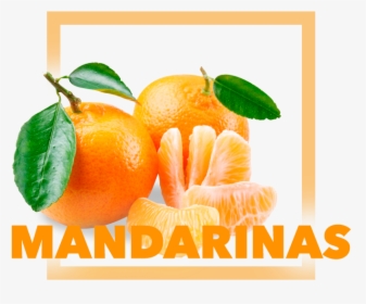 Transparent Mandarina Png - Klementinas, Png Download, Transparent PNG