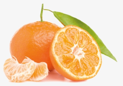 Mandarina Fruta Madurada Al Sol - Oleo Essencial De Bergamota, HD Png Download, Transparent PNG