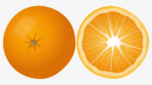 Orange, Fruit, Mandarin, Citrus Fruit, Juicy, Yummy - Free Orange Slice Clipart, HD Png Download, Transparent PNG