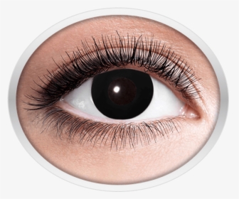 Black Contact Lenses - Eyes Lens Golden Png, Transparent Png, Transparent PNG