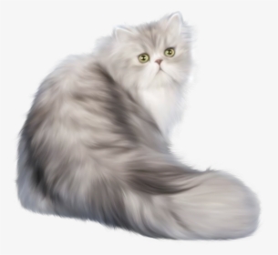 Cat Png Clip Art - Transparent Persian Cat Png, Png Download, Transparent PNG