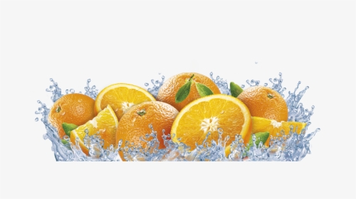 Orange Png, Transparent Png, Transparent PNG