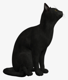 Black Cat Png Clipart - سكرابز الحيوانات, Transparent Png, Transparent PNG
