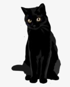 Tumblr Cat Png Black Cat Transparent - Black Cat Sticker, Png Download, Transparent PNG