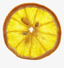 Dried Orange Png Transparent, Png Download, Transparent PNG