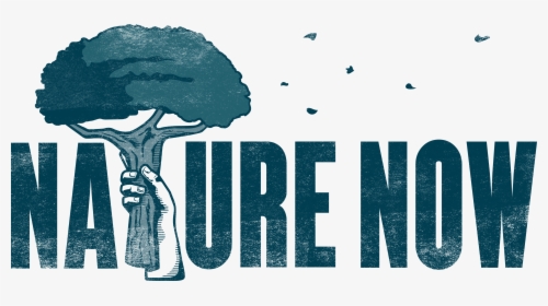 Nature Now - Tree, HD Png Download, Transparent PNG