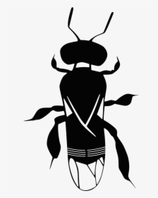 Scaptotrigona Polystica Stingless Bee Abelha Sem Ferrao - Scaptotrigona, HD Png Download, Transparent PNG