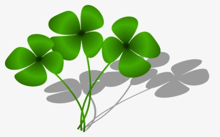 Clovers, Luck, Flora, Green, Plant, Symbol - Clovers Clipart, HD Png Download, Transparent PNG