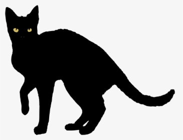 Black Cat Vector Png, Transparent Png, Transparent PNG