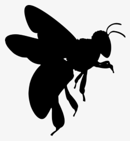 Silhueta, Abelha, Asas, Inseto, Mel, Besouro, Inseto - Honey Bee Silhouette Transparent, HD Png Download, Transparent PNG