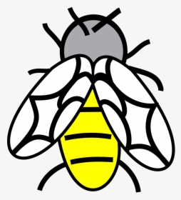 Clip Art, HD Png Download, Transparent PNG