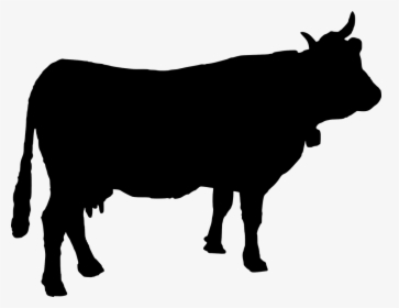 Ganado, Vaca, Cencerro, Silueta, Animales - Free Cow Silhouette Vector, HD Png Download, Transparent PNG