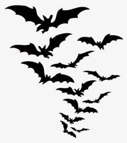 Bat Vector Halloween Download Hd Png Clipart - Bats Png, Transparent Png, Transparent PNG