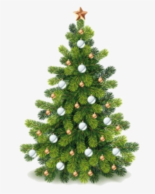 #natal #decoraçãodenatal #background #feliz Natal #enfeite - Png Clipart Christmas Tree Png, Transparent Png, Transparent PNG