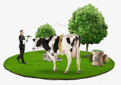 Alpura Nuestras Vacas Bienstar - Dairy Cow, HD Png Download, Transparent PNG