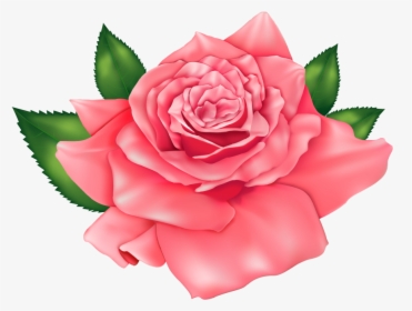 Flores Rosa Vermelha 3 Png - Rose Clipart Flowers, Transparent Png, Transparent PNG