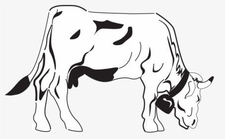 Transparent Cow Clipart Black And White - Cows Coloring, HD Png Download, Transparent PNG
