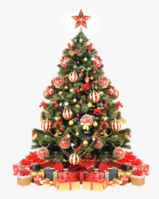 Arvore De Natal Png - Christmas Tree With Gift, Transparent Png, Transparent PNG