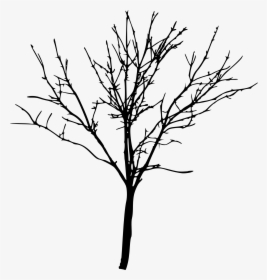 Bare Tree Silhouette Png, Transparent Png, Transparent PNG