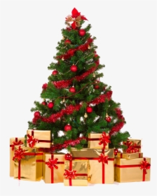 Arvore De Natal Png - Merry Christmas Tree Png, Transparent Png, Transparent PNG
