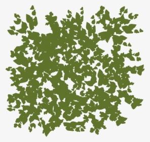 Transparent Background Leaf Texture Png, Png Download, Transparent PNG