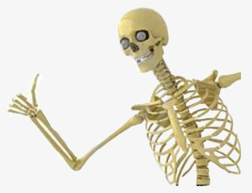 #esqueleto #freetoedit - Skeleton Giving Thumbs Up, HD Png Download, Transparent PNG