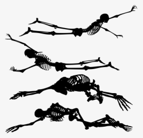 Skeleton Png Transparent, Png Download, Transparent PNG