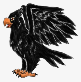 The German Black Eagle - Eagle, HD Png Download, Transparent PNG