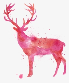 Deer Watercolor Painting Drawing - Animal Vector Deer, HD Png Download, Transparent PNG