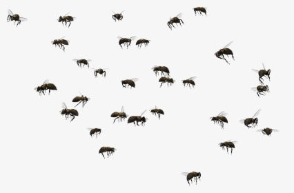 Transparent Bee Hive Clip Art - Swarm Of Bees Png, Png Download, Transparent PNG
