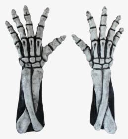 Large Skeleton Hands With Arm Bones Costume Gloves, HD Png Download, Transparent PNG