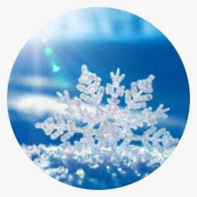 Sophei - Snowflake Beautiful, HD Png Download, Transparent PNG