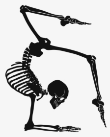 Esqueletos Haciendo Posturas De Yoga, HD Png Download, Transparent PNG