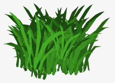 Seaweed Transparent Background, HD Png Download, Transparent PNG