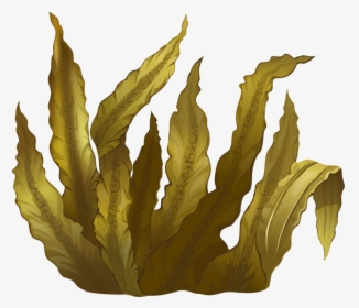 Kelp Seaweed Algae Deep-sea Tangles - Seaweed Png, Transparent Png, Transparent PNG