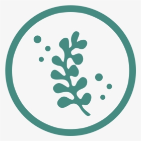 Seaweed Icon Transparent, HD Png Download, Transparent PNG