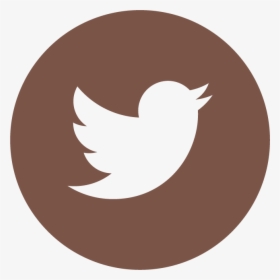 Twitter Logo In Circle, HD Png Download, Transparent PNG