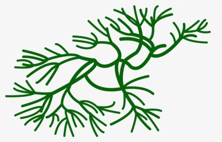 Seaweed Clipart Free Vector, HD Png Download, Transparent PNG