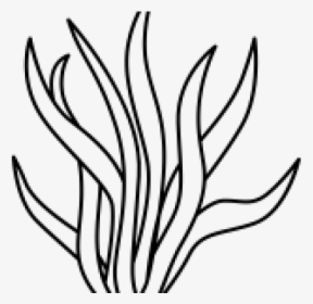 Seaweed Black And White Clipart, HD Png Download, Transparent PNG