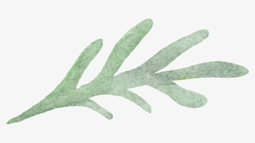 Drawn Seaweed Transparent - Grass, HD Png Download, Transparent PNG