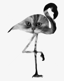 Digital Arts, ©2018 By Petraca - Transparent White Flamingo, HD Png Download, Transparent PNG