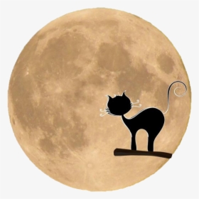 Free Black Cat Silhouette In Front Of The Moon Png - Free Black Cat Halloween Silhouette, Transparent Png, Transparent PNG