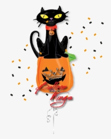 Black Cat - Pumpkins With Black Cat, HD Png Download, Transparent PNG