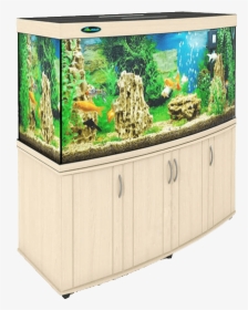 Aquarium Png - Aquarium, Transparent Png, Transparent PNG